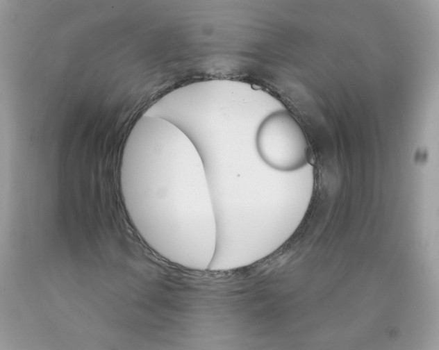 X0000089941106200707201857