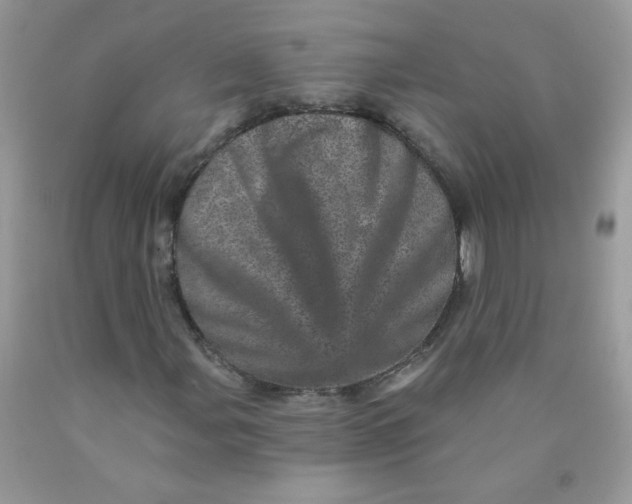 X0000089941107200707201857