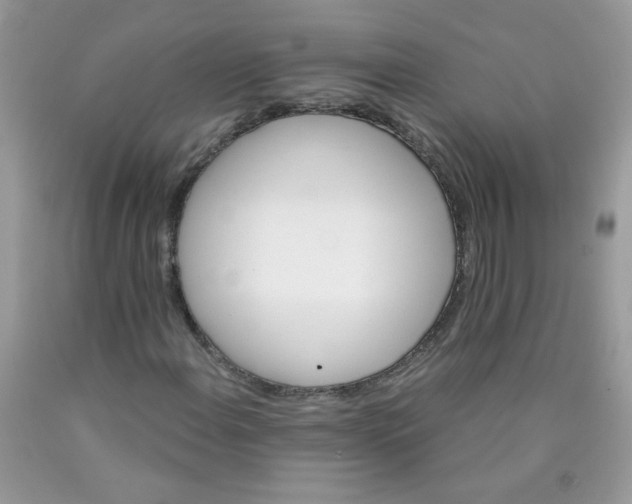 X0000089941108200707201857