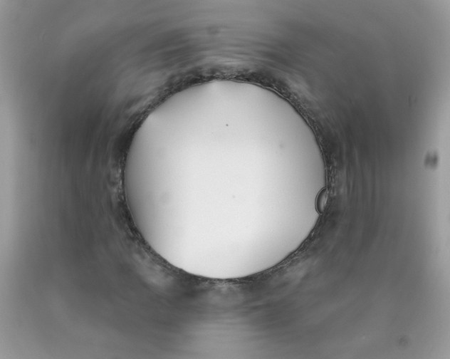 X0000089941109200707201857