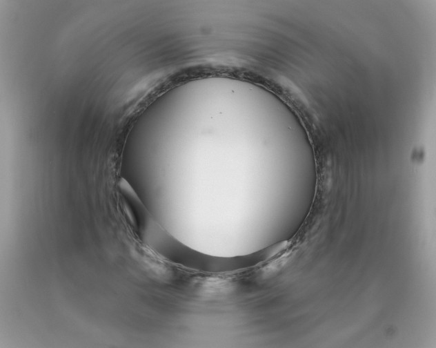 X0000089941110200707201857