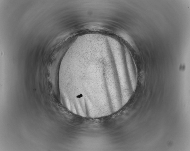 X0000089941111200707201857