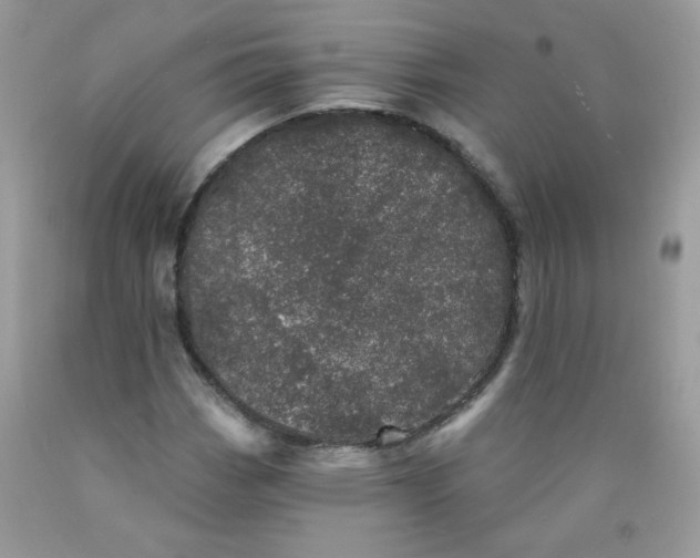 X0000089941113200707201857