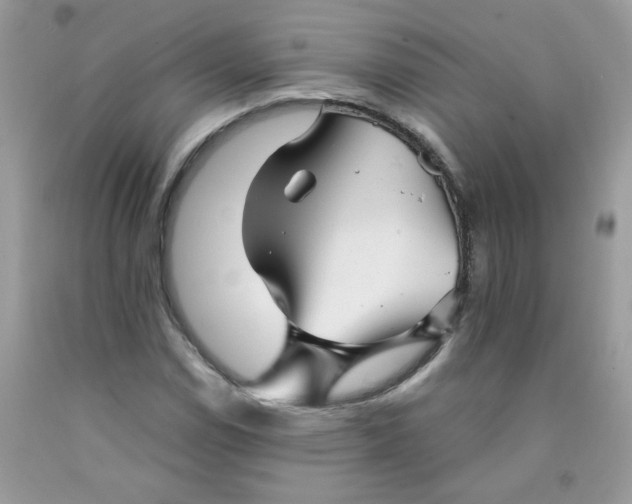 X0000089941114200707201857