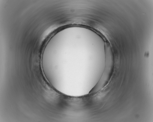 X0000089941115200707201857