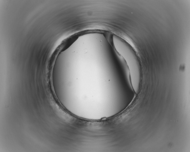 X0000089941116200707201857