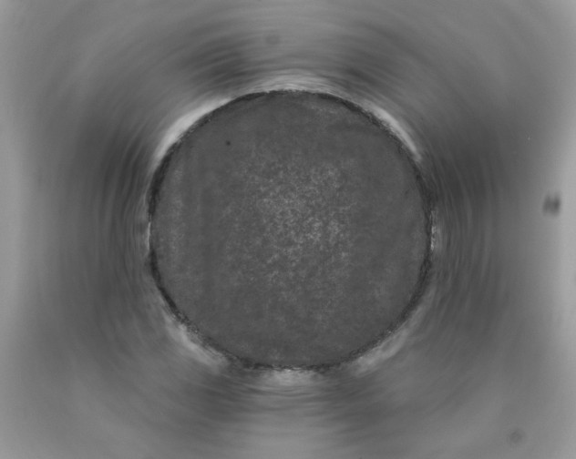 X0000089941117200707201857