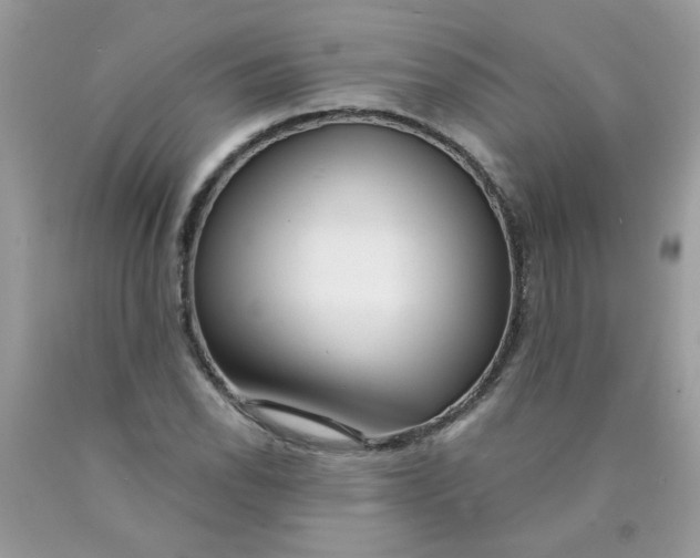 X0000089941118200707201857