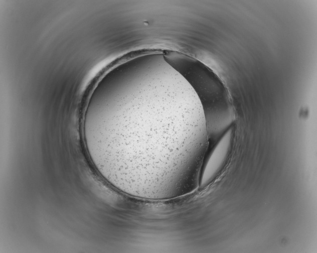 X0000089941120200707201857