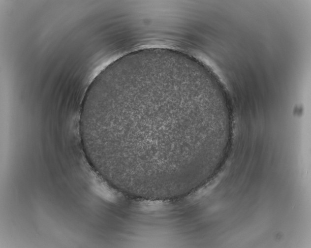 X0000089941121200707201857