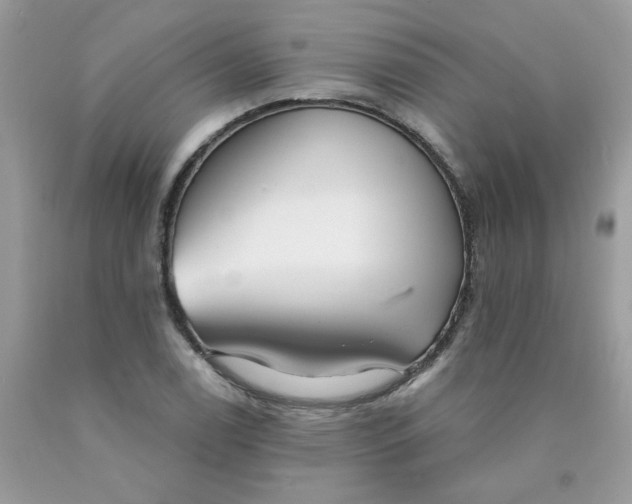 X0000089941122200707201857