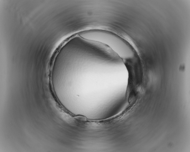 X0000089941124200707201857