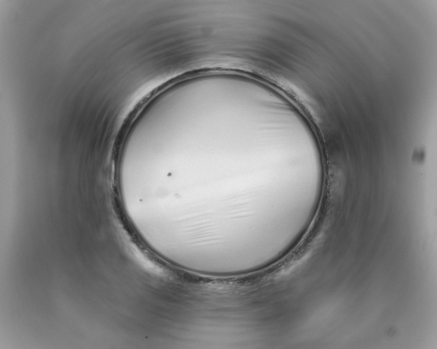 X0000089941125200707201857