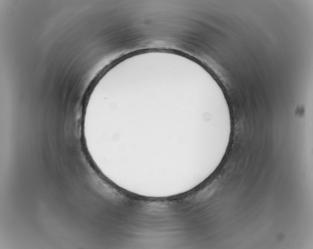 X0000089941126200707201857