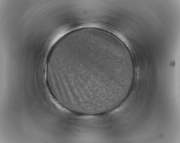 X0000089941127200707201857