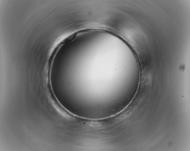 X0000089941128200707201857