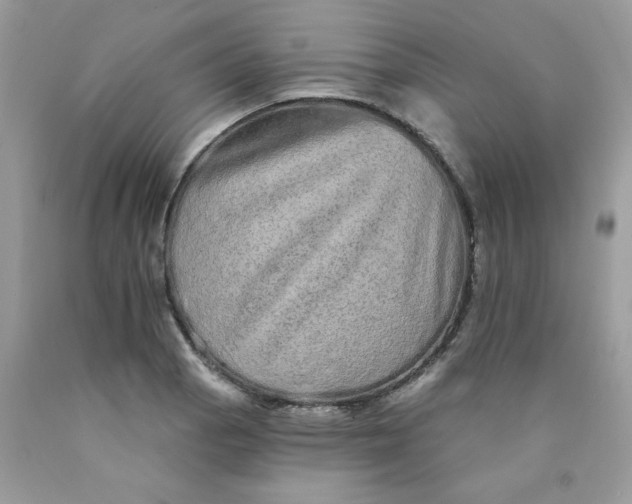 X0000089941129200707201857