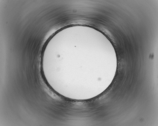 X0000089941130200707201857