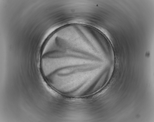 X0000089941131200707201857