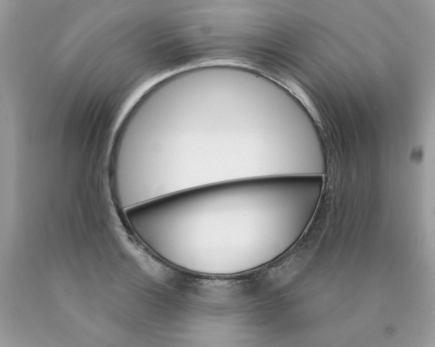 X0000089941132200707201857