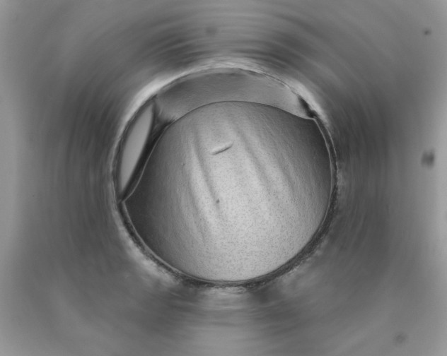 X0000089941133200707201857