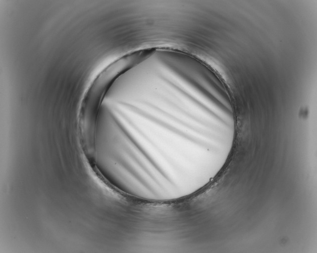 X0000089941135200707201857