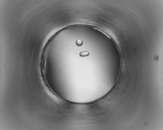 X0000089941136200707201857