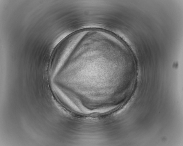 X0000089941137200707201857