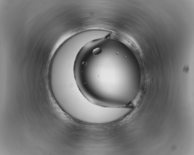 X0000089941138200707201857