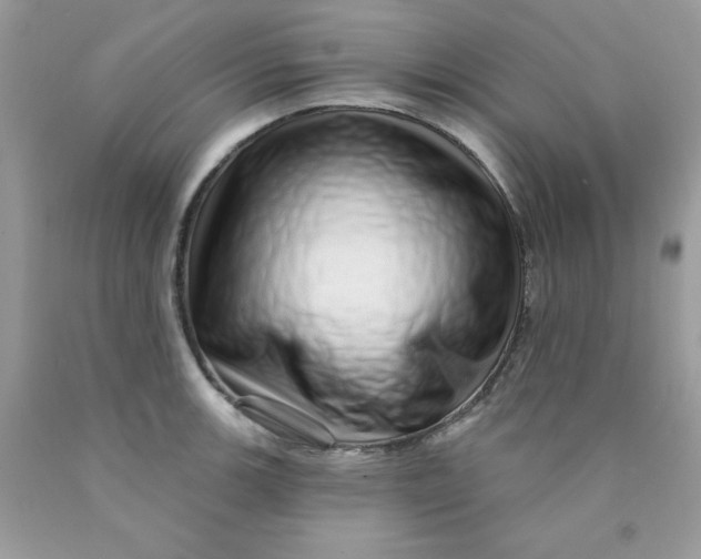 X0000089941139200707201857