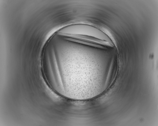 X0000089941141200707201857