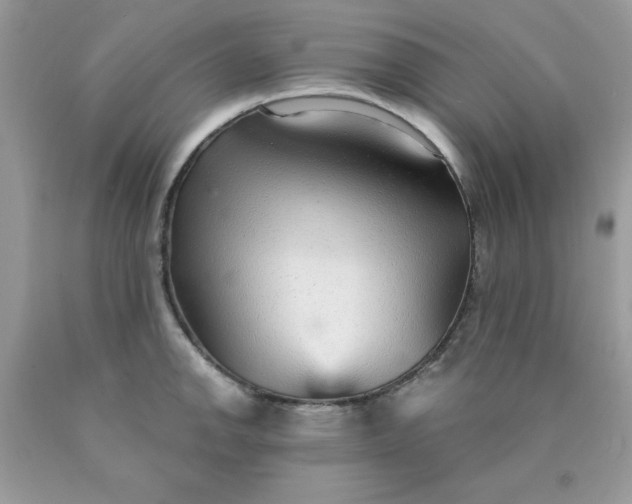 X0000089941142200707201857