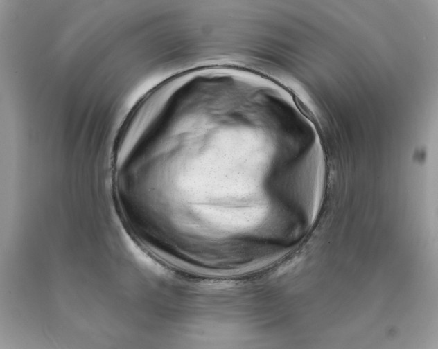 X0000089941143200707201857