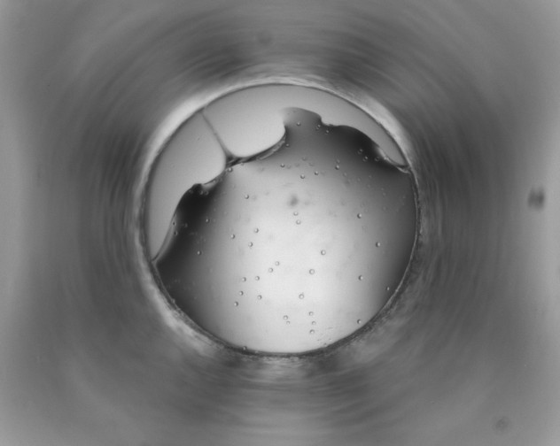 X0000089941144200707201857