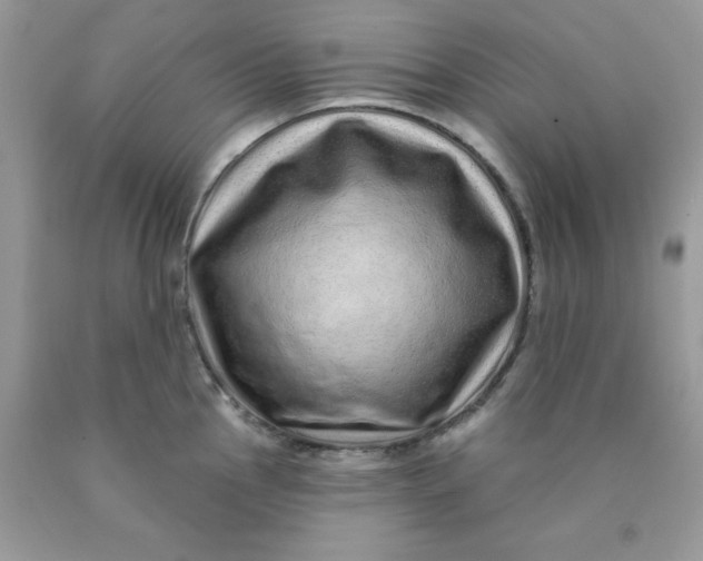 X0000089941145200707201857