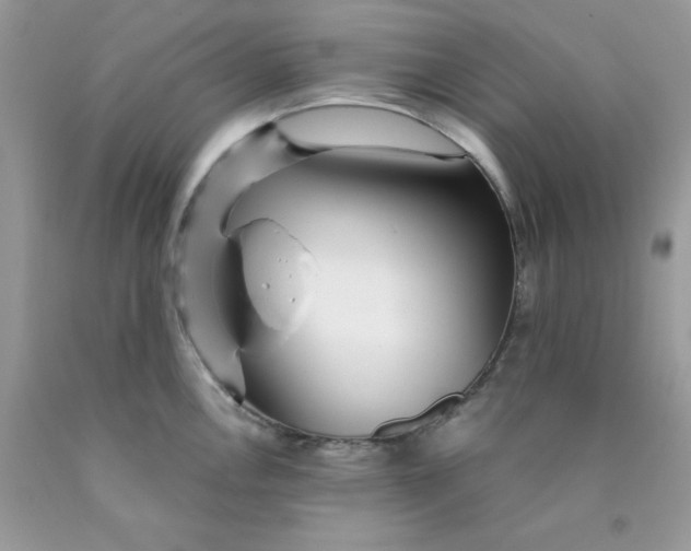 X0000089941146200707201857