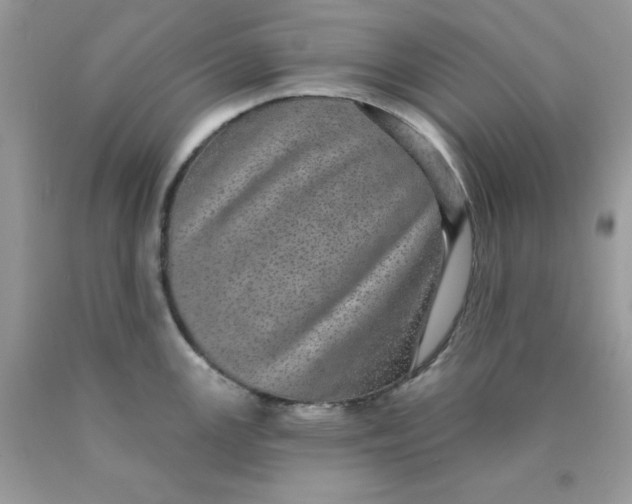 X0000089941147200707201857