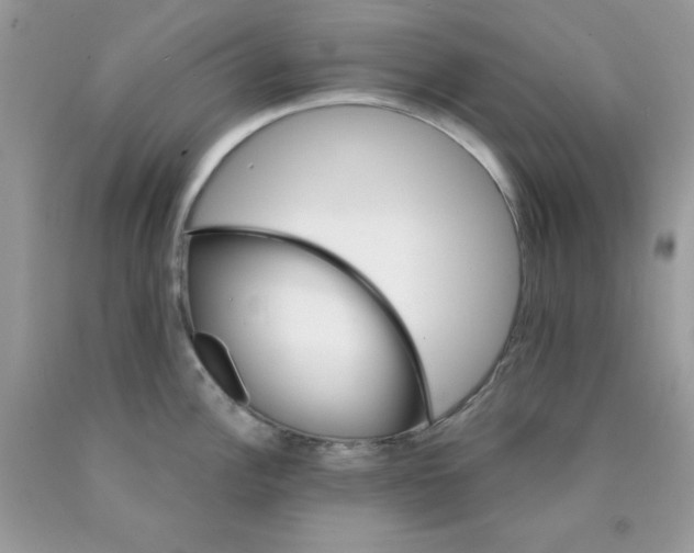 X0000089941148200707201857