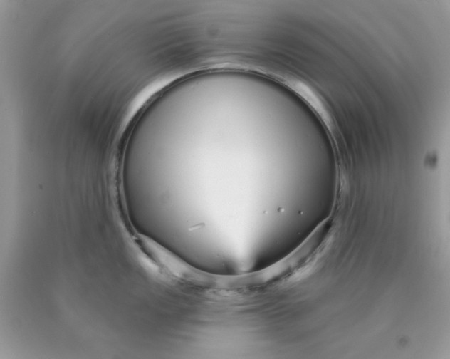 X0000089941149200707201857