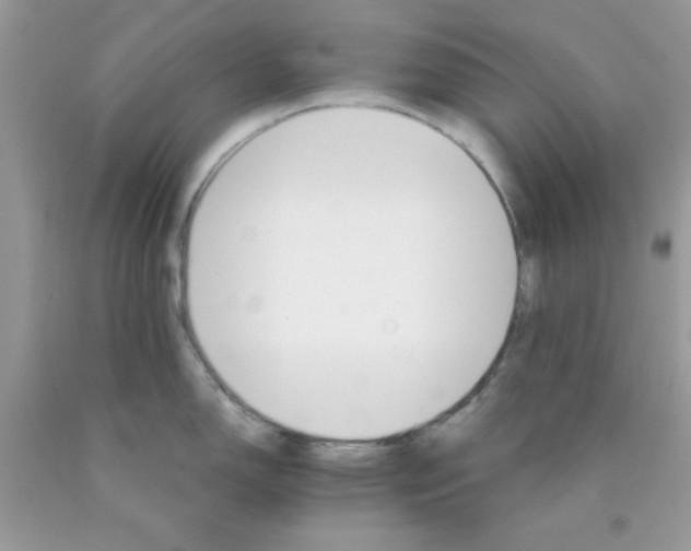 X0000089941150200707201857