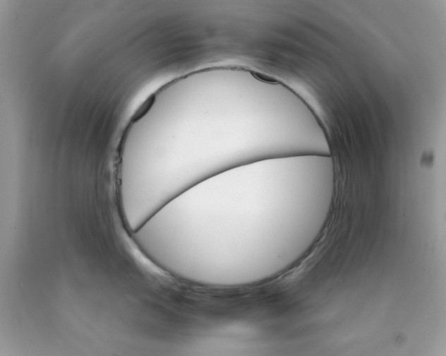 X0000089941151200707201857