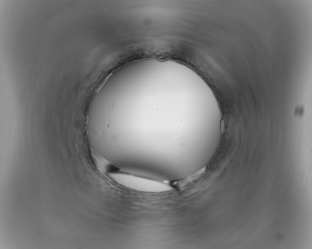 X0000089941153200707201857