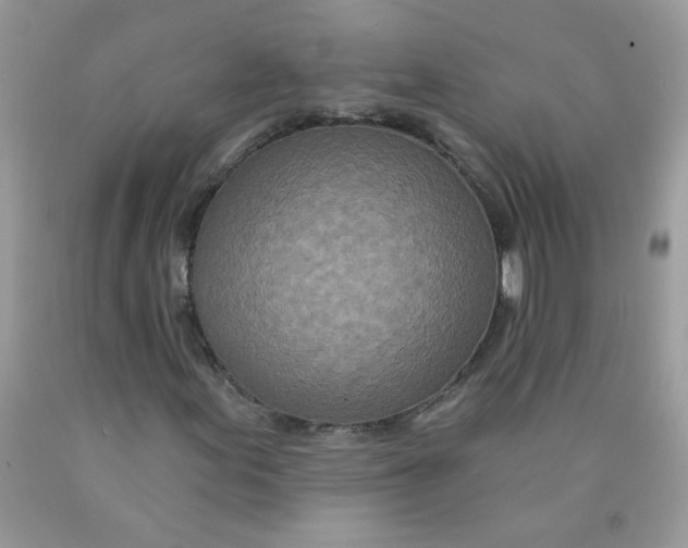 X0000089941155200707201857