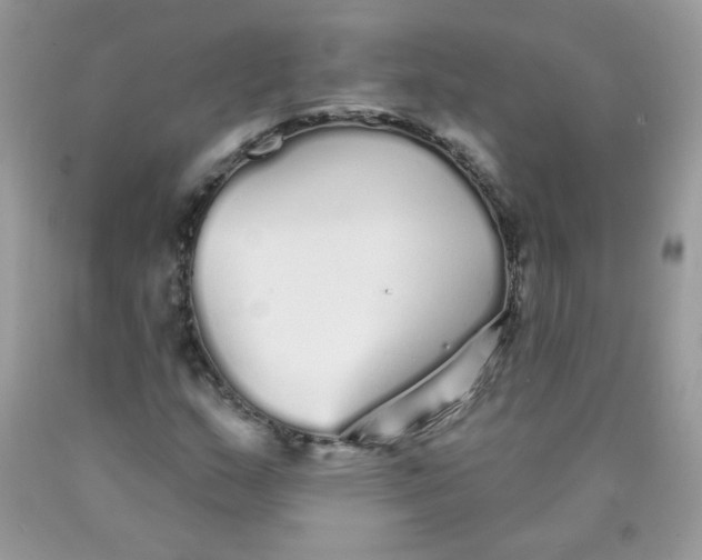 X0000089941159200707201856