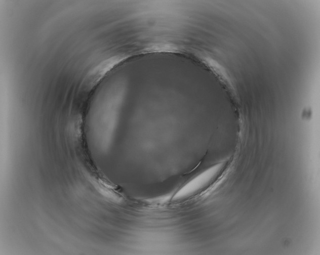 X0000089941161200707201856