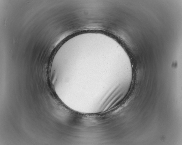 X0000089941162200707201856