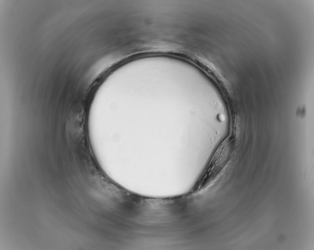 X0000089941163200707201856