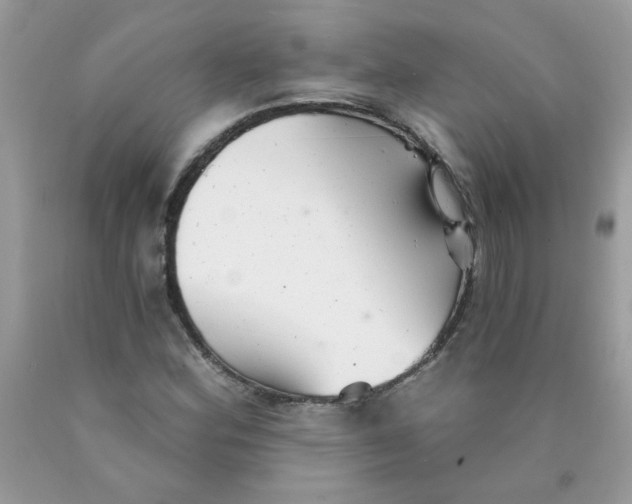 X0000089941164200707201856