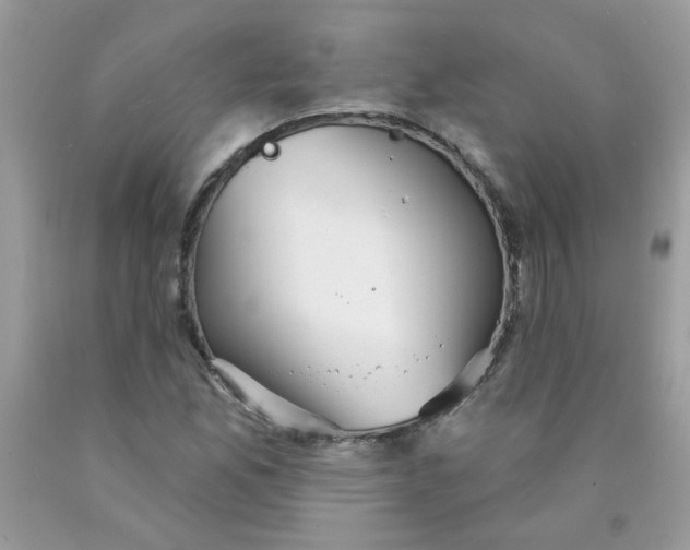 X0000089941165200707201856