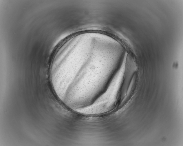 X0000089941166200707201856